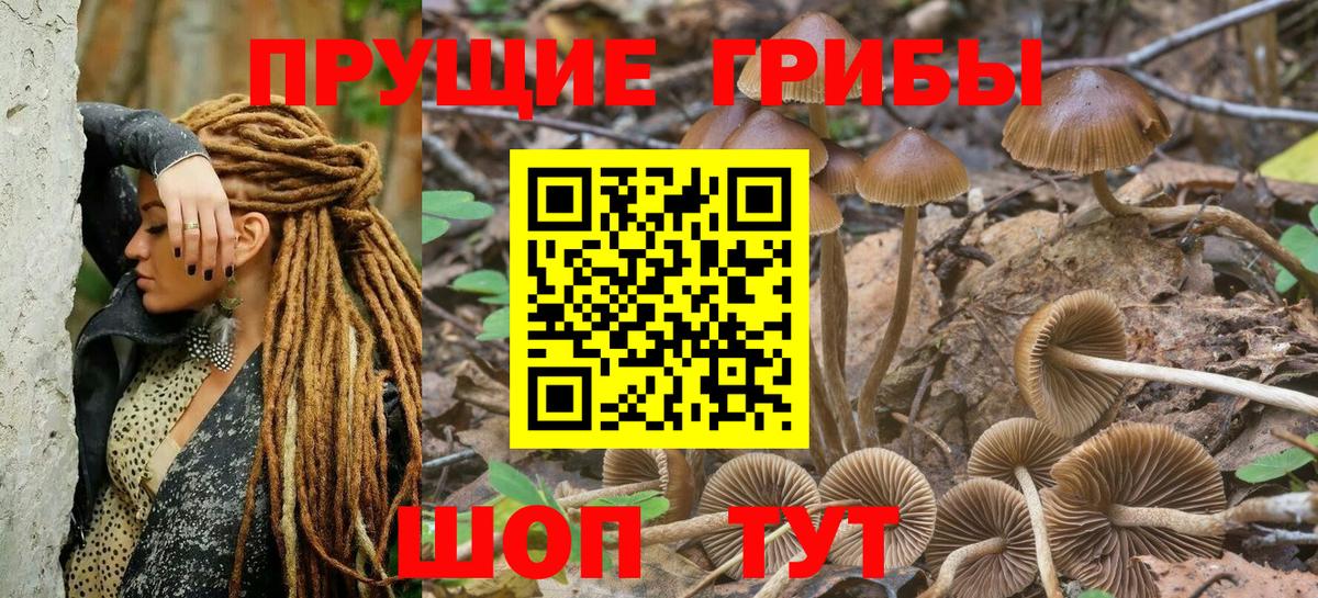 Галлюциногенные грибы мухоморы Шебекино