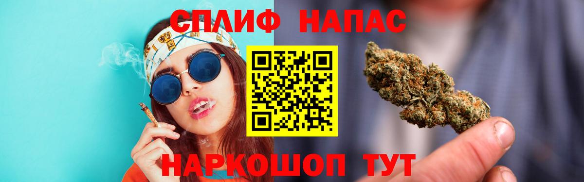 Бошки Шишки планчик Шебекино